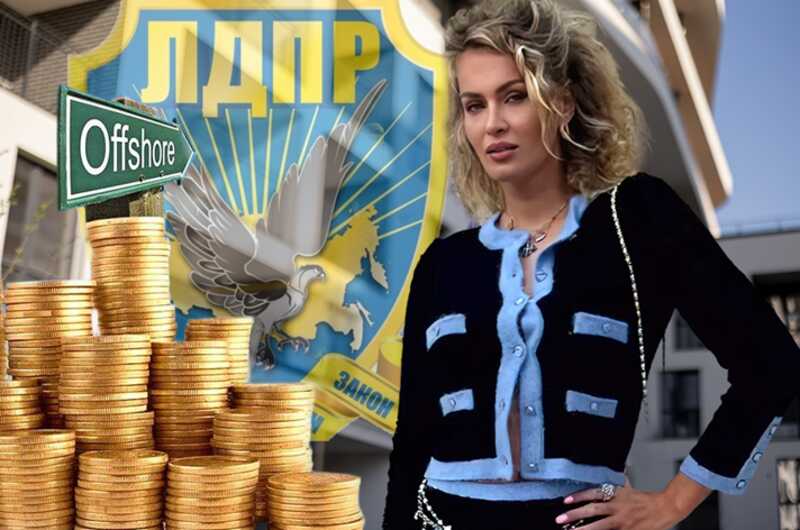 The secrets of Nadezhda Grishaeva’s "dirty" millions: How the ex-basketball player launders money through shell companies and the Zhirinovsky clan’s property