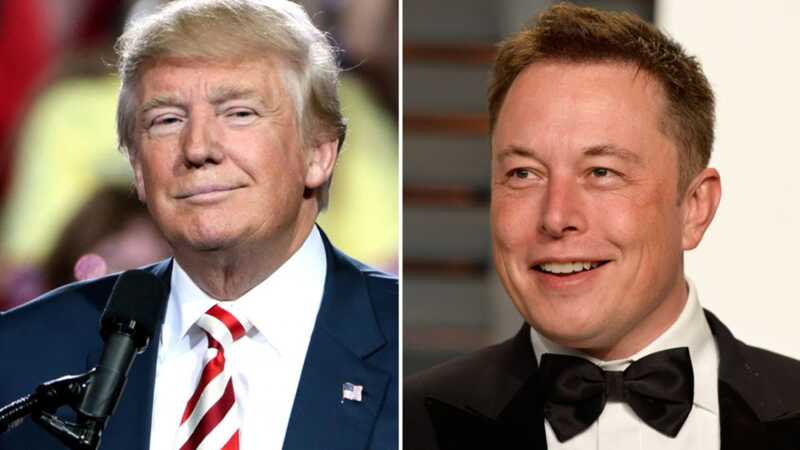 Трамп выразил признательность Маску