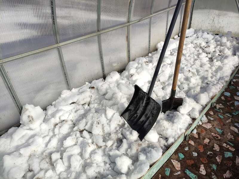 Полиция «не увидела» токсичный снег в Лангепасе: экологи требуют дополнительной проверки